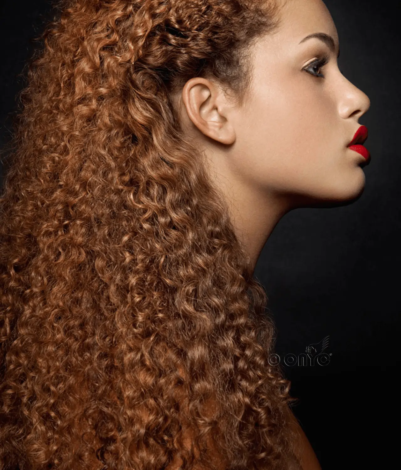 4_Golden-Collection-Kinky-3B3C-Color.webp ONYC Colored Kinky Curly Hair Bundles Sew-In Weave Hair Extensions – 3B-3C Curl - Image 10