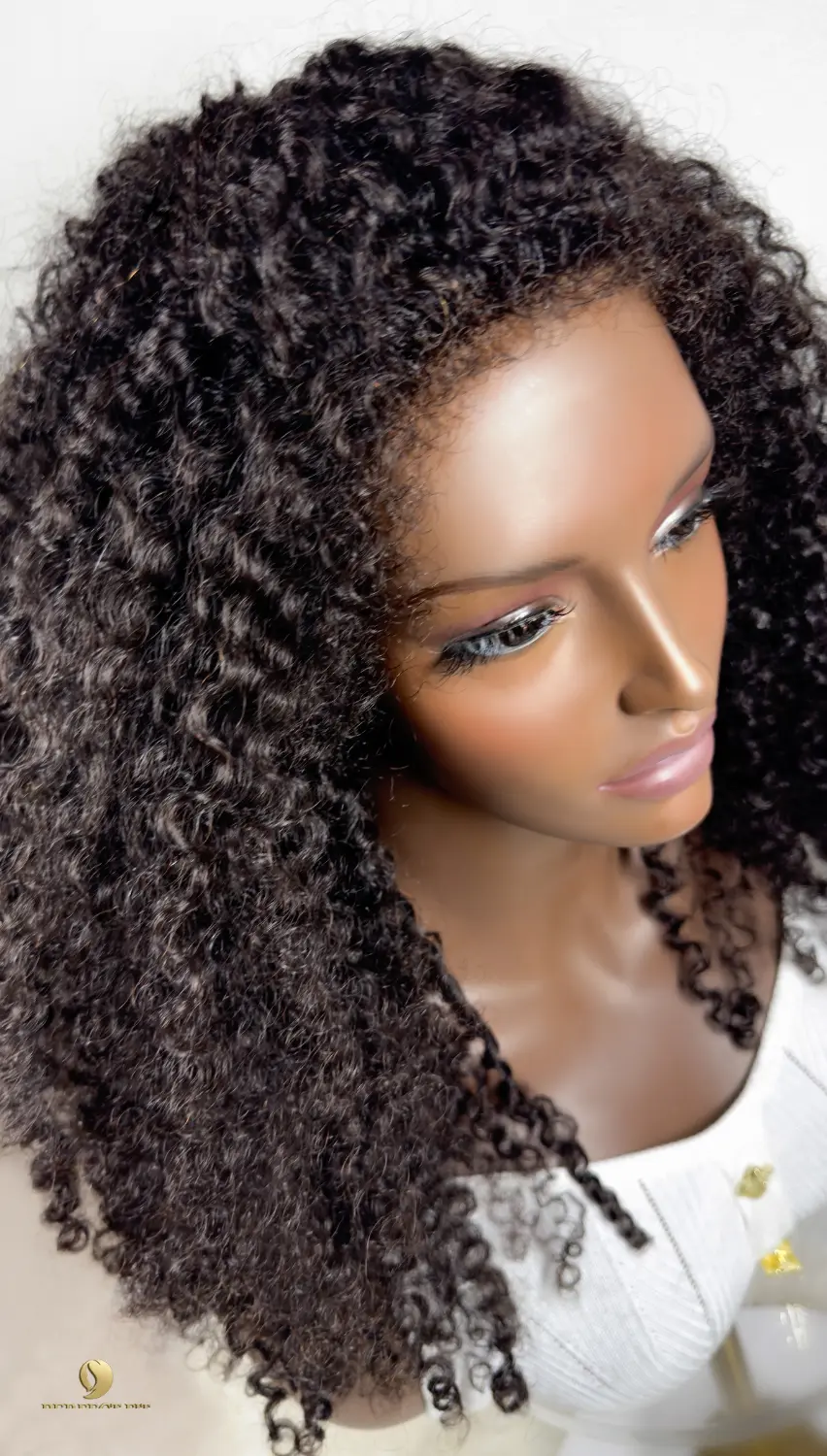 ONYC-3b-3c-Kinky-Curly-Wig-Human-Hair-Upclose-with-Most-Natural-Hairline.webp ONYC Kinky Curly Lace Front Wig Human Hair 3B/3C Natural – Tyra - Image 4