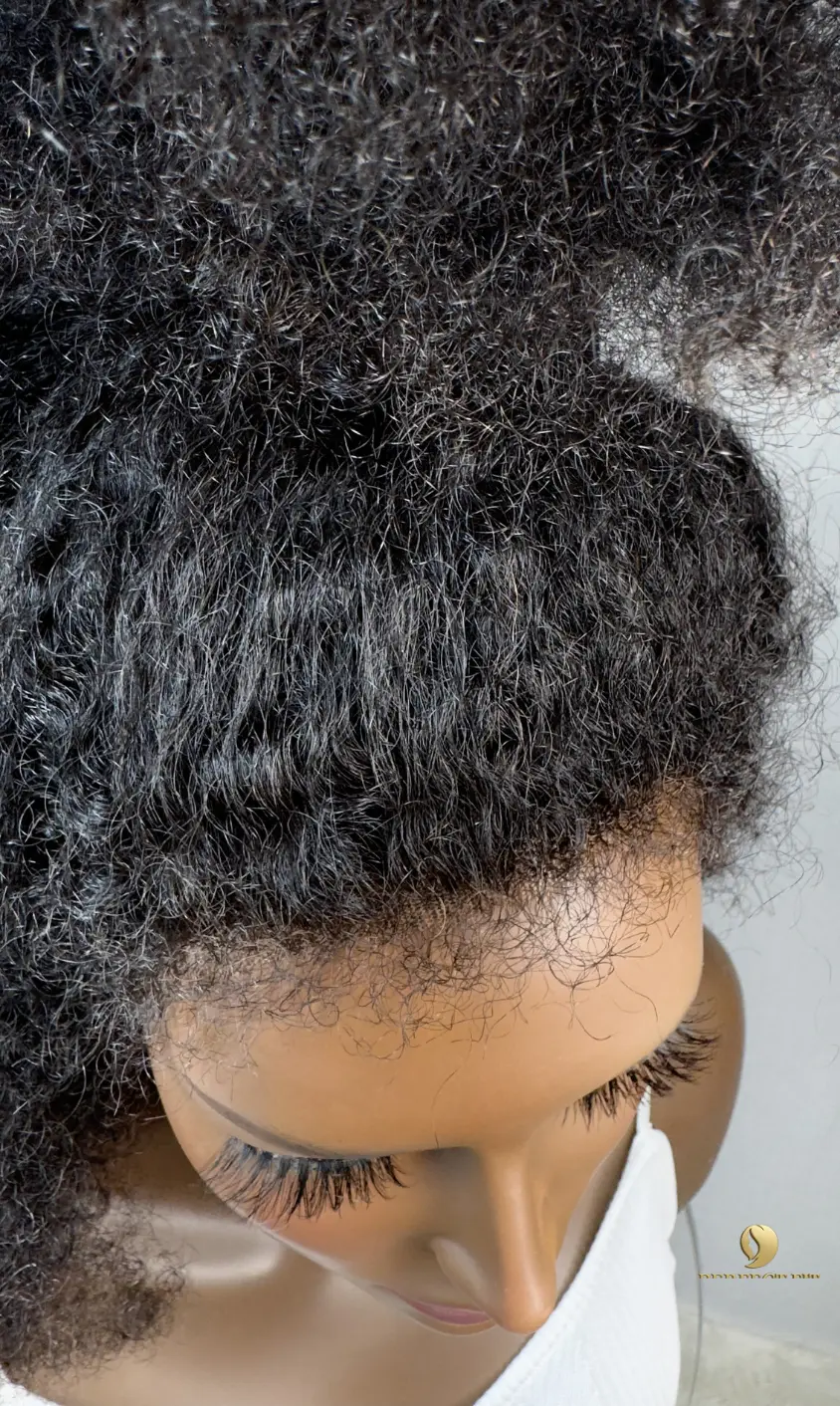 ONYC-Afro-Kinky-Curly-Human-Hair-Wig-with-Most-Natural-Hairline-View.webp ONYC Afro Kinky Curly Lace Front Wig for Natural Coily 3C-4A, 4B and 4C- Tight Kinky 3C-4A™ Tyra - Image 5